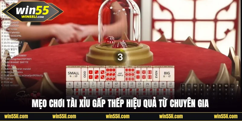 Mẹo chơi Tài Xỉu gấp thếp hiệu quả